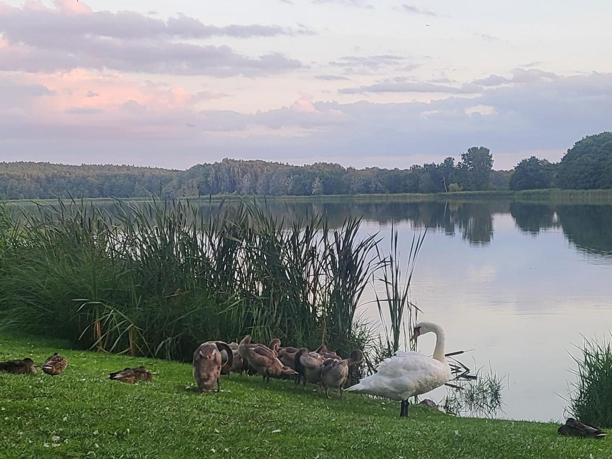 Hotel Karl'S Burg Kölpinsee Екстериор снимка